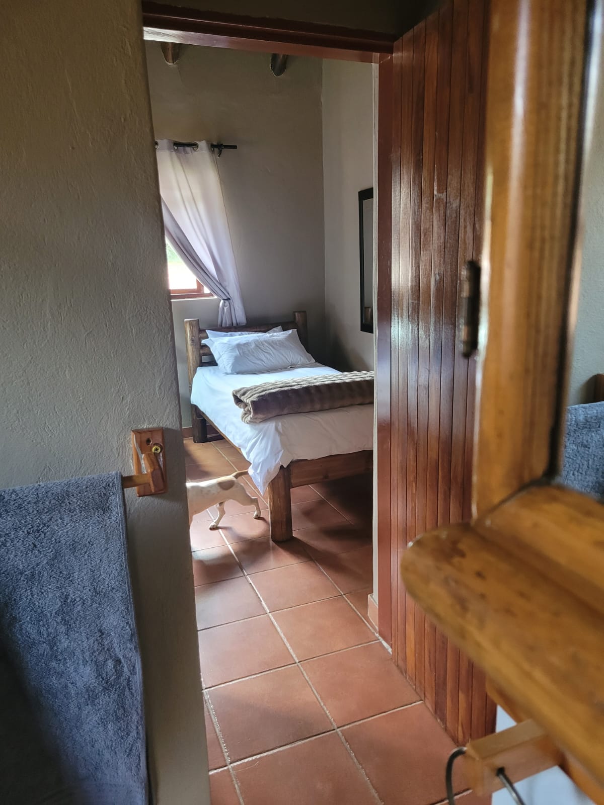 Accommodation Photo 13